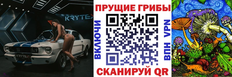 Галлюциногенные грибы прущие грибы  Мегион 